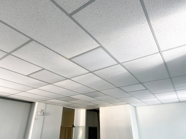 Mineral Fiber Ceiling